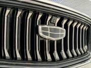 Geely Monjaro I Рестайлинг Екатеринбург  - изображение 96