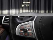 BMW X7 I (G07) Москва  - изображение 65