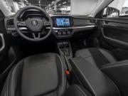 Skoda Kamiq I (China Market) Москва  - изображение 29