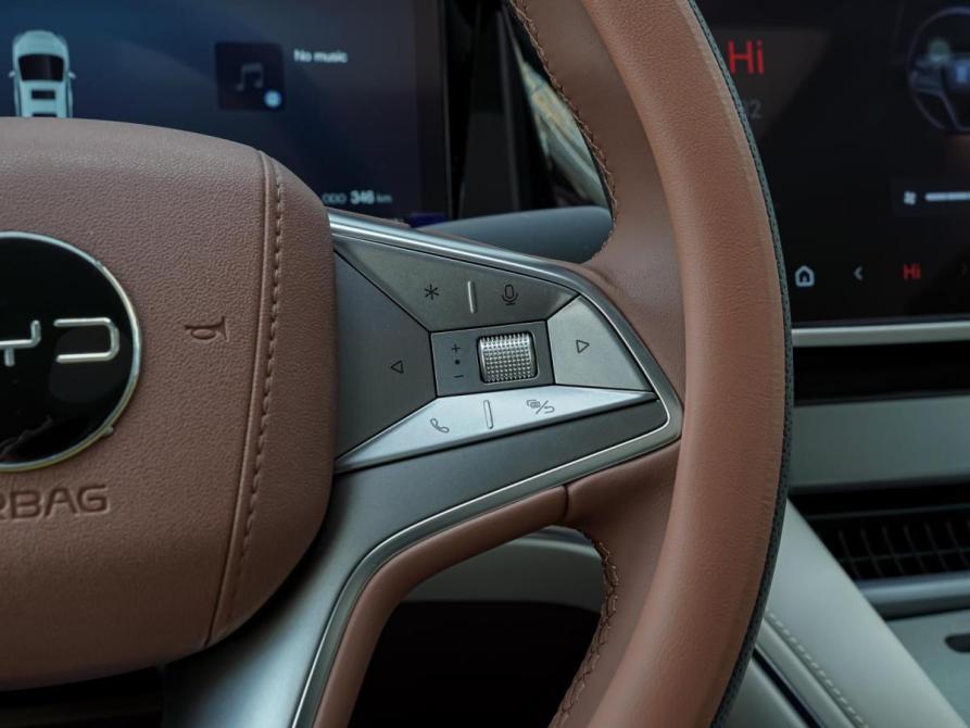 BYD Xia (M9) Краснодар  - изображение 23