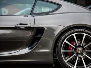Porsche Cayman II (981) Санкт-Петербург  - изображение 52