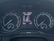 Skoda Kodiaq I Москва  - изображение 41