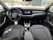 Skoda Octavia IV (A8) Екатеринбург  - изображение 43