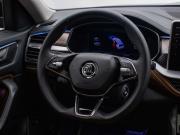 Skoda Kodiaq I Рестайлинг Москва  - изображение 39