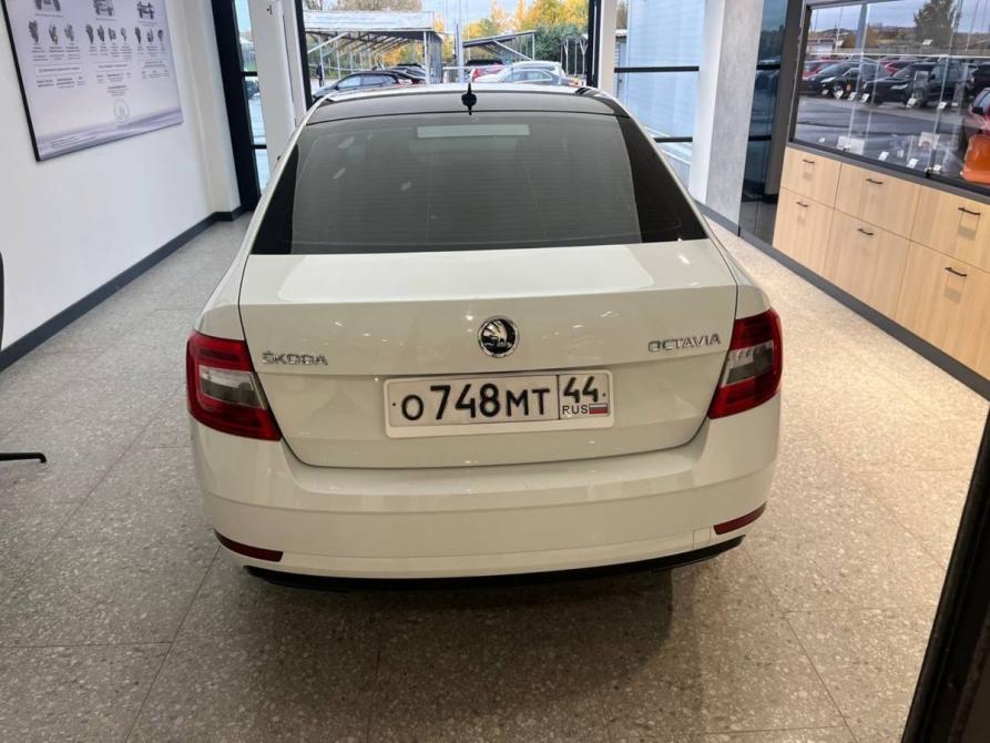 Skoda Octavia III (A7) Рестайлинг Ярославль  - изображение 5