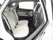 JETOUR DASHING I Ставрополь  - изображение 29