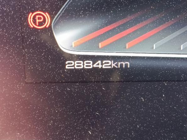 Haval Dargo I с пробегом 2024 года, цена 2 699 000 рублей, 28841 км, внедорожник, Автокод Объявления
