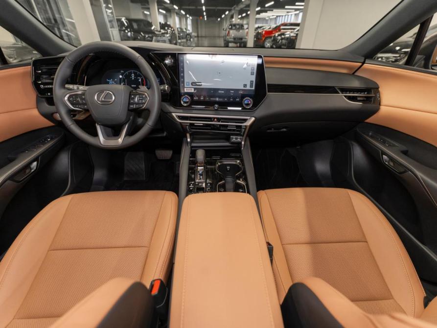 Lexus RX V Москва  - изображение 8