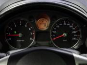 Nissan X-Trail II Тюмень  - изображение 48