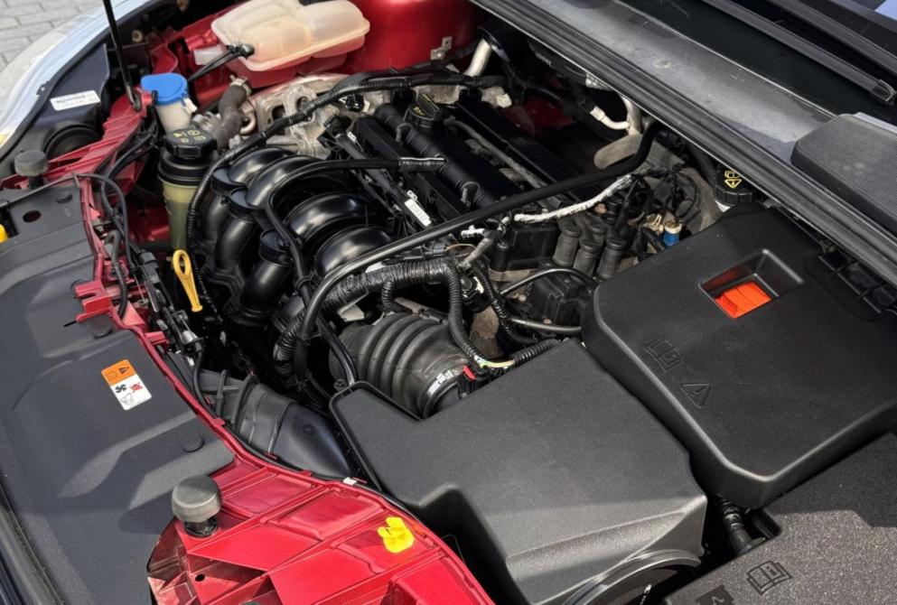 Ford Focus III Владимир  - изображение 12