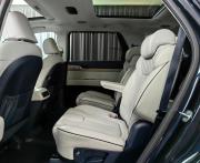 Hyundai Palisade I Москва  - изображение 39