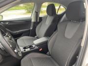 Skoda Octavia IV (A8) Екатеринбург  - изображение 64