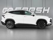 JETOUR DASHING I Минеральные Воды  - изображение 22