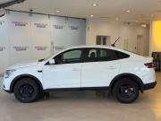 Renault Arkana I Москва  - изображение 25