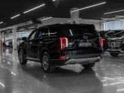 Hyundai Palisade I Москва  - изображение 33