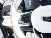 Geely Monjaro I Ставрополь  - изображение 53