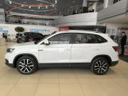 Skoda Kamiq I (China Market) Казань  - изображение 32