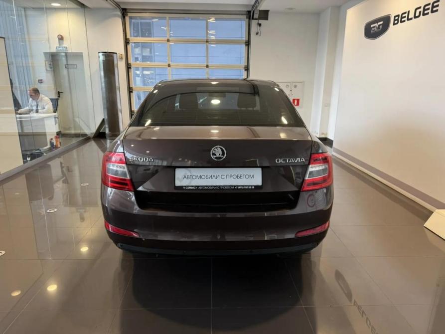 Skoda Octavia III (A7) Подольск  - изображение 6