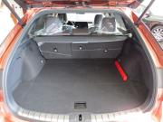 Lexus RX V Екатеринбург  - изображение 38