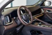 Geely Monjaro I Рестайлинг 2 (China Market) Ростов-на-Дону  - изображение 62