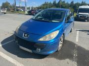 Peugeot 307 I Рестайлинг Тюмень  - изображение 8