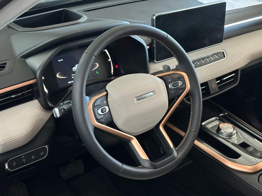 Haval Jolion I Рестайлинг Москва  - изображение 12