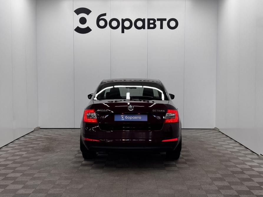 Skoda Octavia III (A7) Воронеж  - изображение 6