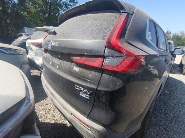 Новый Honda CR-V VI 2026 года, цена 4 190 000 рублей, внедорожник, Автокод Объявления