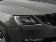 Skoda Octavia III (A7) Рестайлинг Москва  - изображение 45