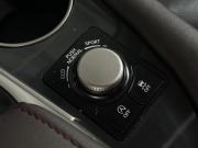 Lexus RX IV Кемерово  - изображение 70