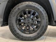 Foton Tunland V9 Санкт-Петербург  - изображение 48