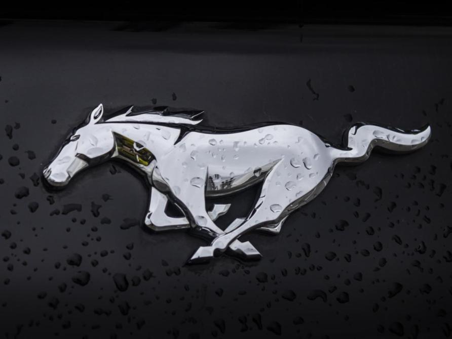 Ford Mustang VI Рестайлинг Москва  - изображение 9