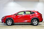 Lexus NX I Сургут  - изображение 31