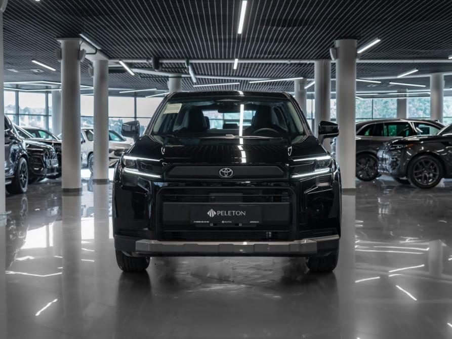 Toyota RAV4 VI (XA60) Москва  - изображение 3