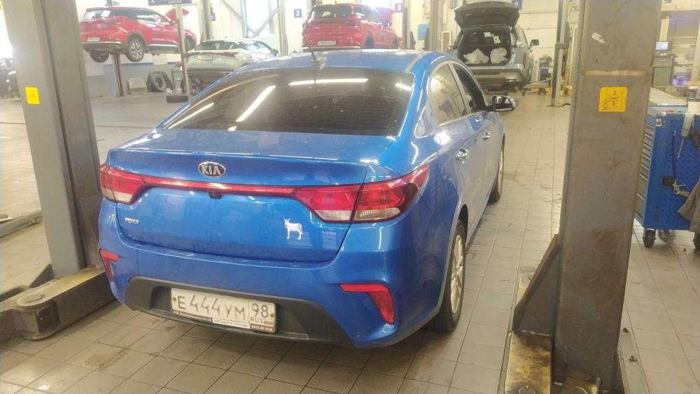 Kia Rio IV Рестайлинг Санкт-Петербург  - изображение 3