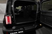 Tank 300 I Москва  - изображение 27