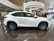 Lexus NX I Рестайлинг Казань  - изображение 27
