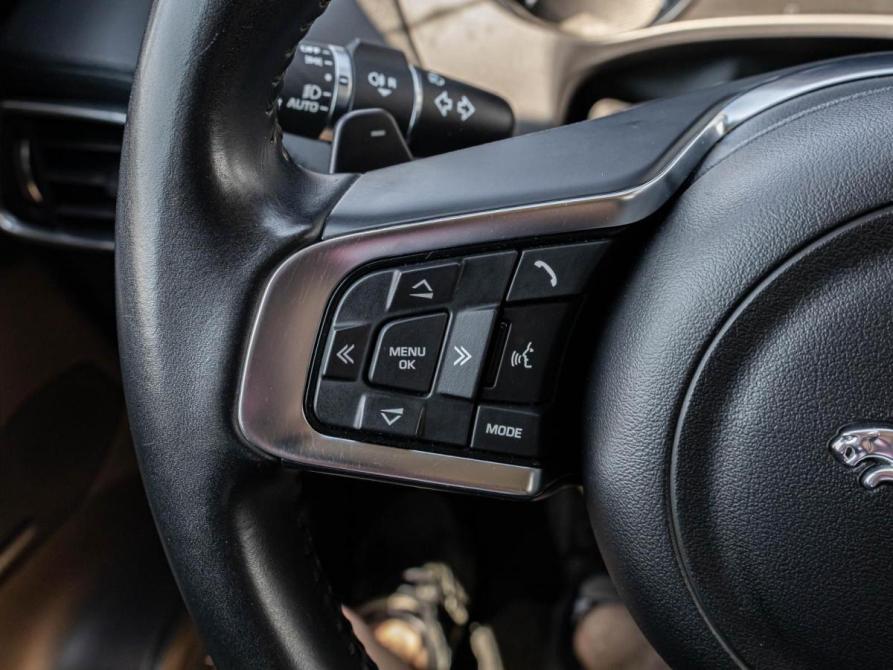 Jaguar F-Pace I Краснодар  - изображение 20