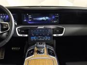 Hongqi E-HS9 Москва  - изображение 29