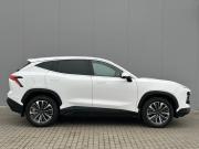JETOUR DASHING I Тамбов  - изображение 29