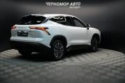 JETOUR Dashing I Крым  - изображение 38