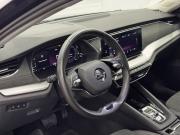 Skoda Octavia IV (A8) Воронеж  - изображение 33