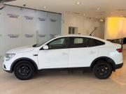 Renault Arkana I Москва  - изображение 25