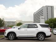 Hyundai Palisade I Москва  - изображение 37