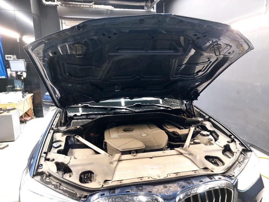 BMW X3 III (G01) Москва  - изображение 3