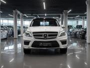Mercedes-Benz GL-Класс II (X166) Москва  - изображение 28