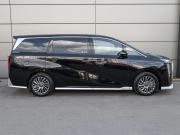 GAC M8 Москва  - изображение 34
