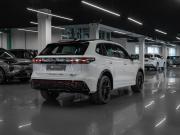 Volkswagen Tiguan III (China Market) Москва  - изображение 32