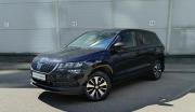 Skoda Karoq I Санкт-Петербург  - изображение 19