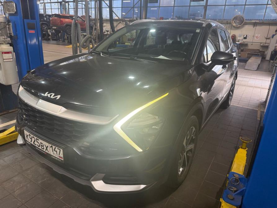 Kia Sportage V Санкт-Петербург  - изображение 1